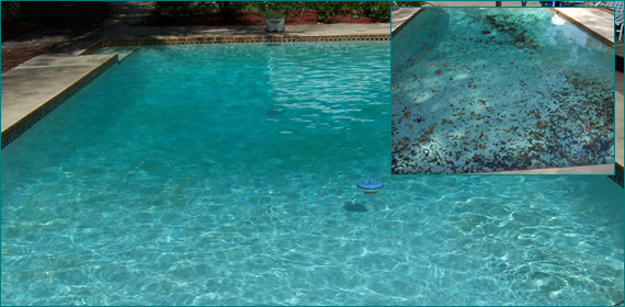 Pool Cleaning Longwood, Fl